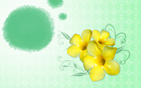 Flower Wallpapers new 12